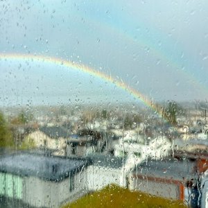 POTD February - 1_a.jpeg