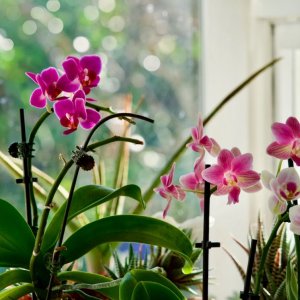 POTD March - 1_a.jpeg