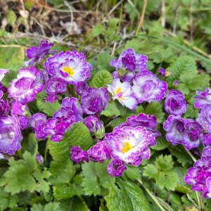 POTD March - 1_a.jpeg