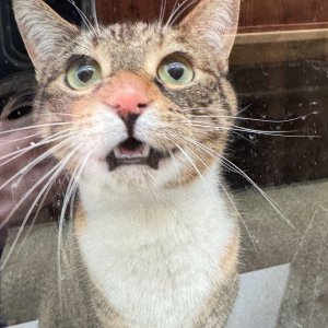 POTD March - 1_a.jpeg