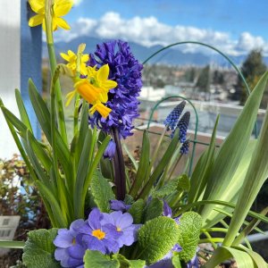 POTD March - 1_a.jpeg