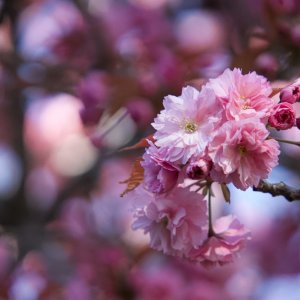 POTD March - 1_a.jpeg