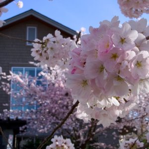 POTD March - 1_a.jpeg