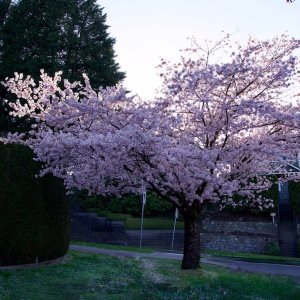 POTD April - 1_a 2.jpeg