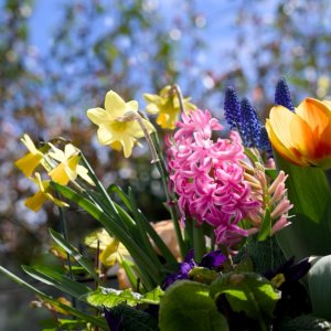 POTD April - 1_a.jpeg