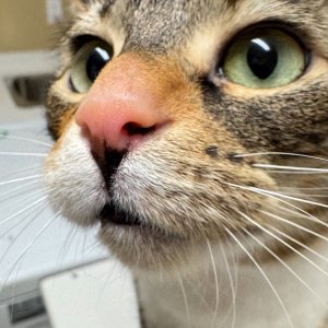 POTD April - 1_a.jpeg