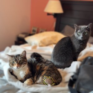 POTD April - 1 (1)_a.jpeg