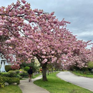 POTD April - 1_a.jpeg