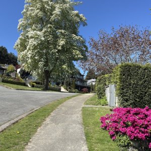 POTD April - 1_a.jpg