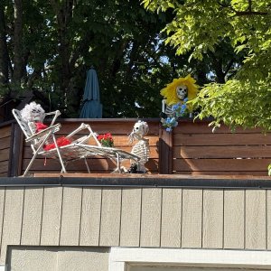 IMG_2218.JPG