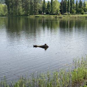 IMG_4272.jpeg