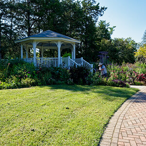 Tending to the Flowers at Green Spring.jpeg