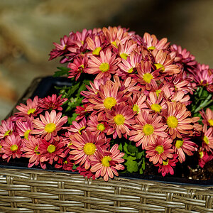 Basket Full of Fall Flowers.jpeg