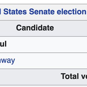 rand paul vote stats 2010.jpg