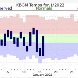 temps rollercoaster jan 2022.jpg