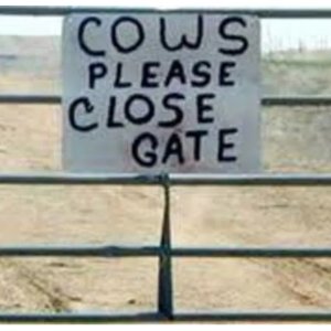 Cows Please Close Gate.jpg