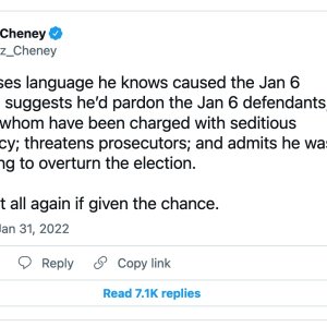 Liz Cheney tweet on Trump 1:31:22.jpg