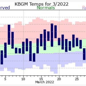 the rollercoaster called March 2022.jpg