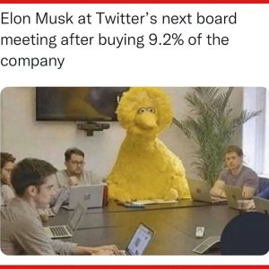 Elon Musk Twitter Stock.jpg