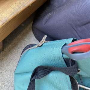 IMG_5798.jpeg