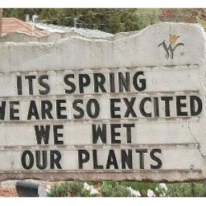 SpringGardeningSign.jpg