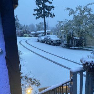 IMG_4195.jpeg