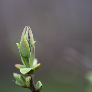 _DSC8276.jpg