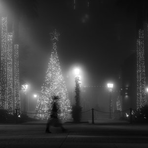 DSC01325_web.jpg