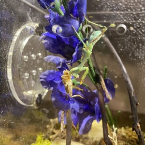 IMG_5863.jpeg