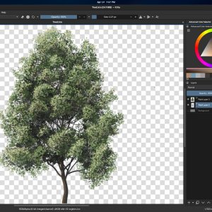 PaintedTree.jpg