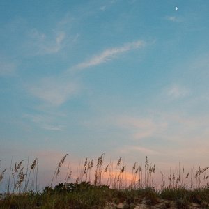 Web_August_16_2018_001.jpg