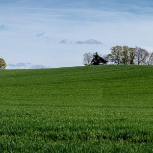 _DSC8417-Pano.jpg