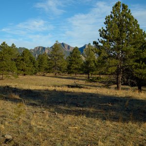P0001342 2.jpg