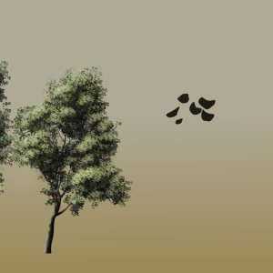 Tree6.jpg