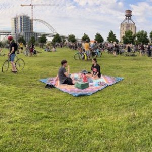 IMG_0118.jpg