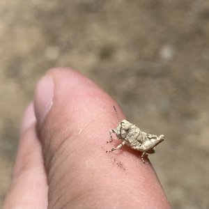IMG_6163.jpeg