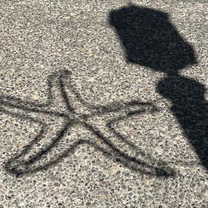 IMG_0181.jpeg