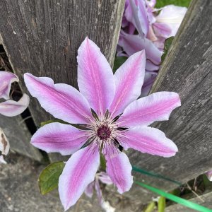 IMG_0179.jpeg