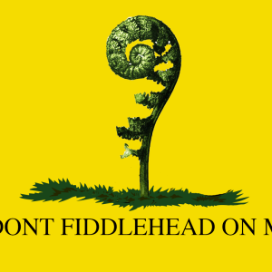 Gadsden_flag.svg copy.png