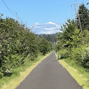 IMG_0266.jpeg