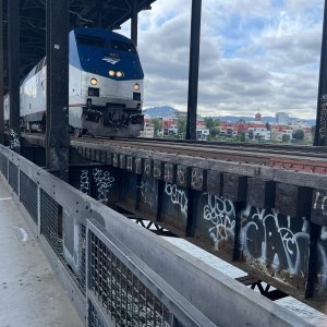 IMG_0311.jpeg