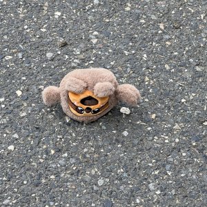 IMG_0258.jpeg