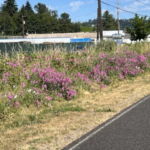 IMG_0361.jpeg