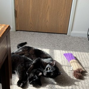 IMG_5948.jpeg