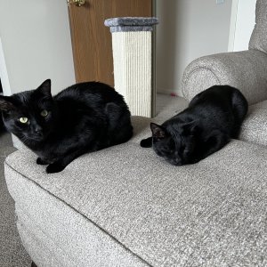 IMG_5961.jpeg