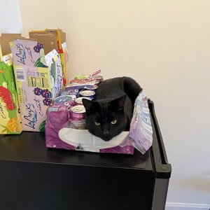 IMG_5971.jpeg