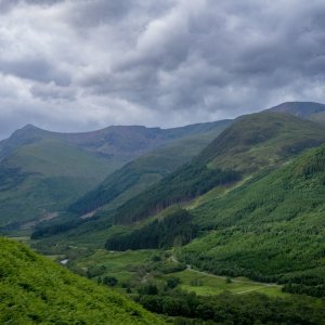 _DSC8591.jpg