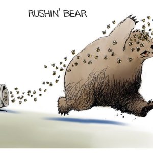 Rushin' Bear - Bill Bramhall NY Daily News.jpg