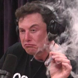 musk_blunt.jpeg