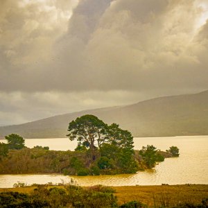 Canda Road - Crystal Springs Reservoir_.jpg